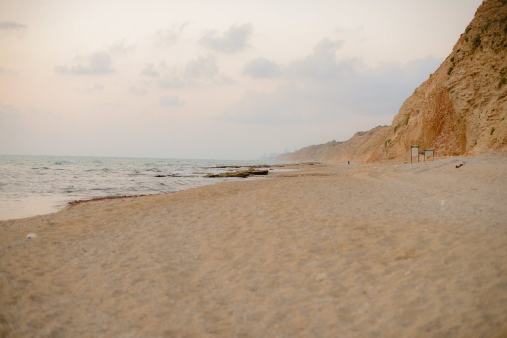 beach and seashore