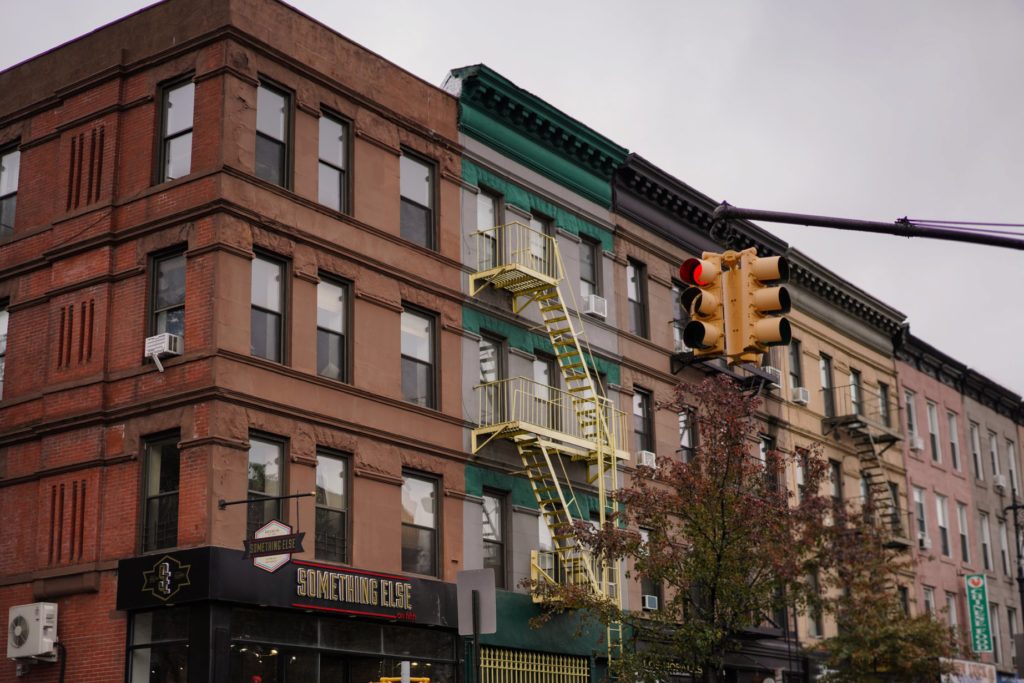 Brooklyn Couple Engagement Session Photographer Wrkshp Workshop NYC Wedding Phil Chester