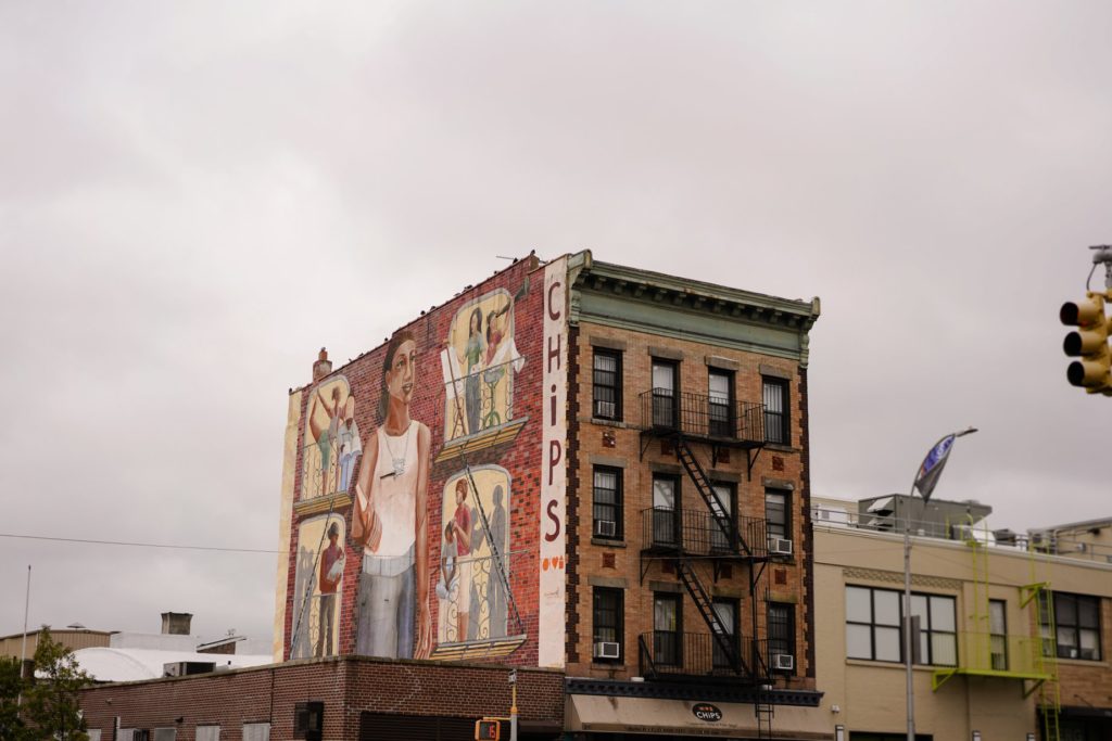 Brooklyn Couple Engagement Session Photographer Wrkshp Workshop NYC Wedding Phil Chester