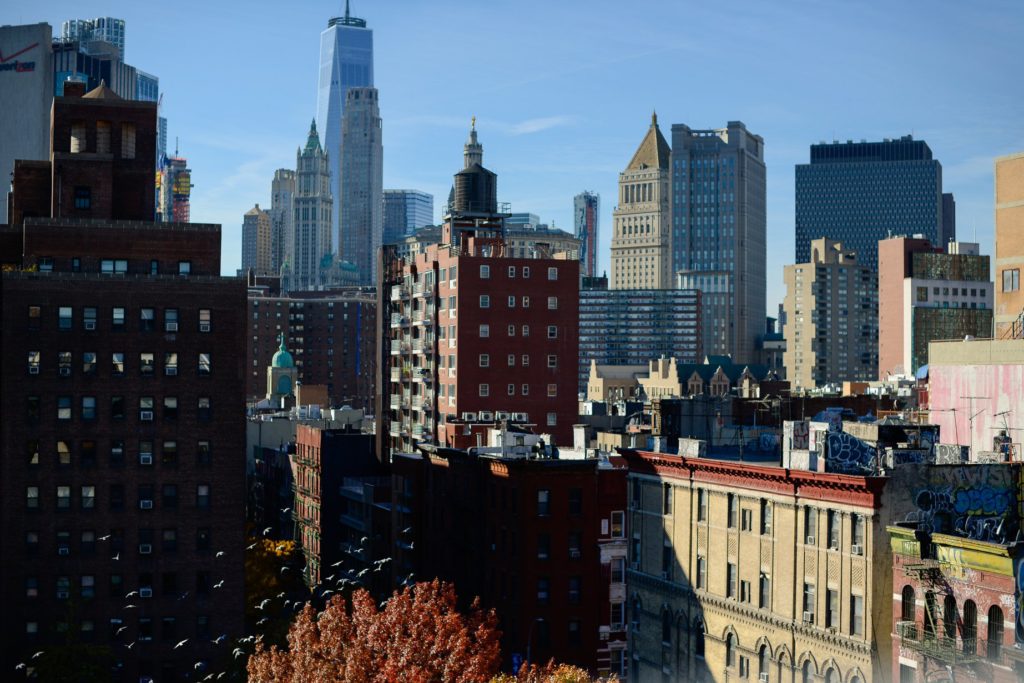 New York City Skyline View - Lauren Newman Photography