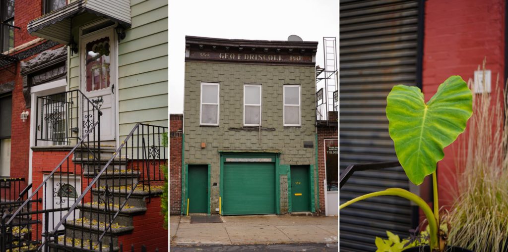 three photographs of new york city porch, green garage door, and plant leaf