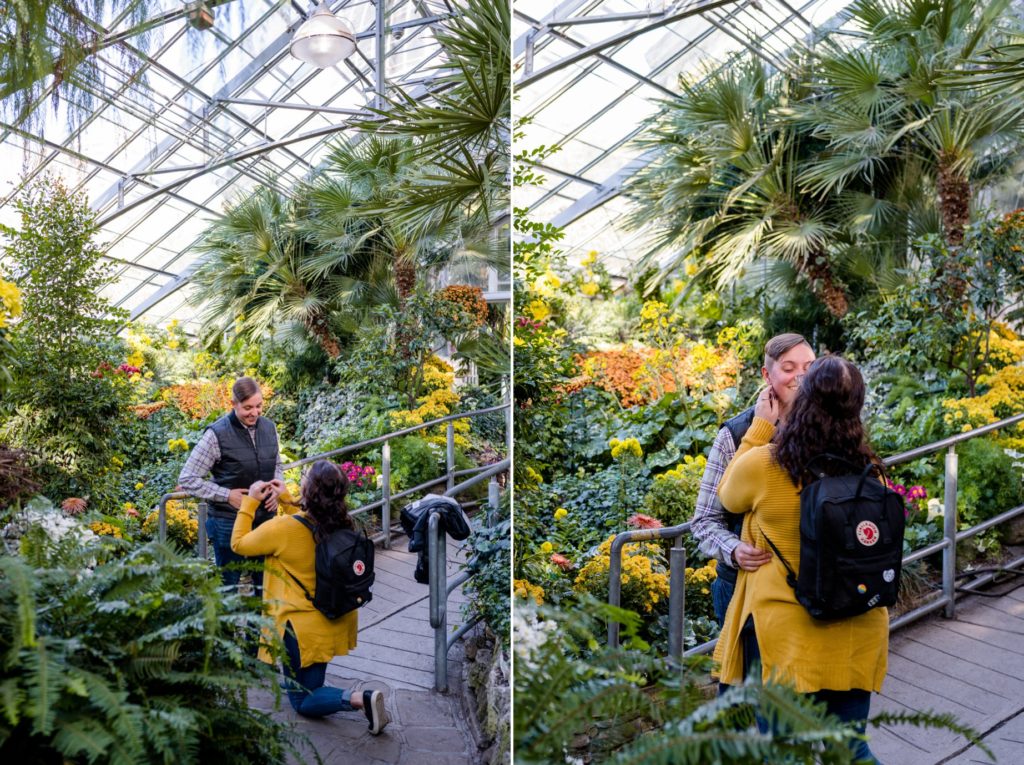 Same Sex Surprise Proposal Allan Gardens Botanical Toronto Photos LGBTQ