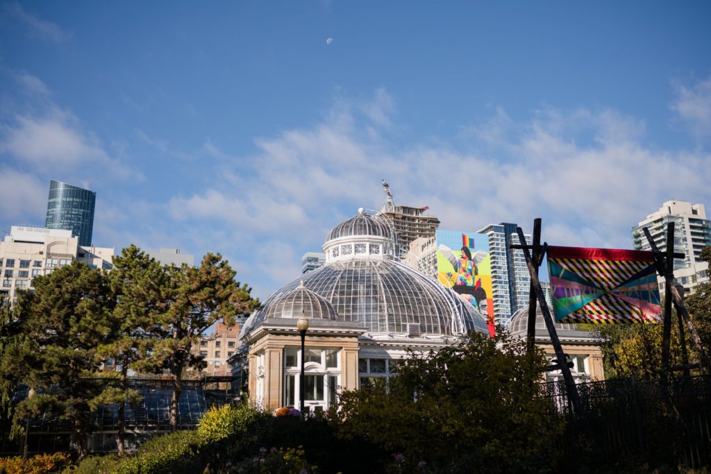 Same Sex Surprise Proposal Allan Gardens Botanical Toronto Photos LGBTQ