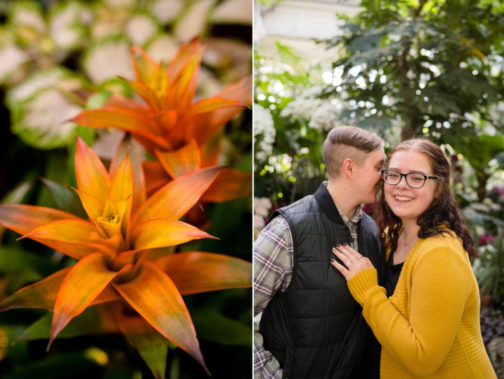 Same Sex Surprise Proposal Allan Gardens Botanical Toronto Photos LGBTQ