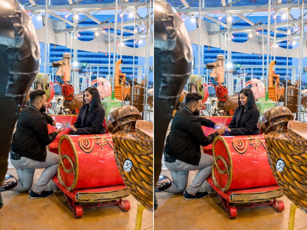 Toronto Surprise Carousel Engagement Proposal Photos