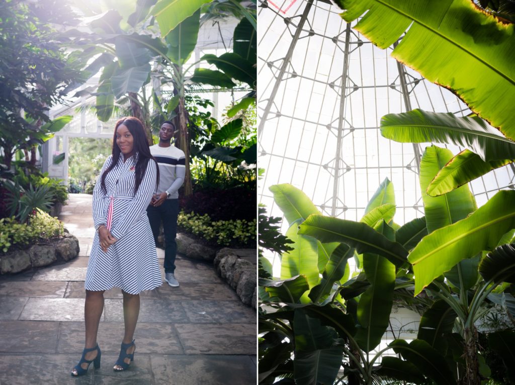 Allan Gardens Botanical Toronto Couples Surprise Engagement Proposal Photography 