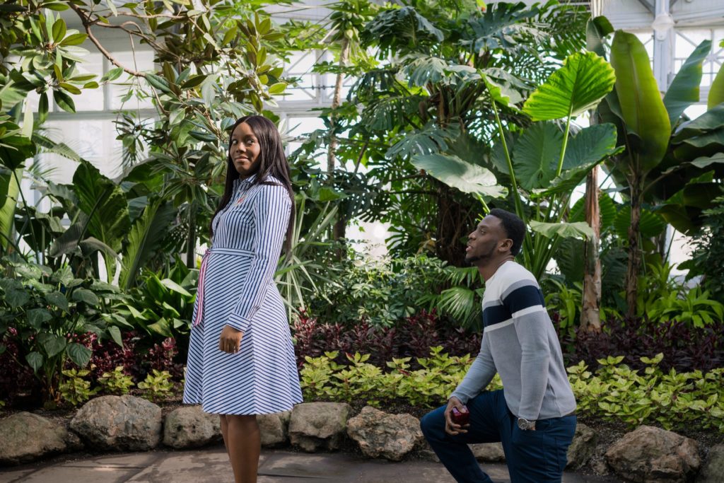 Allan Gardens Botanical Toronto Couples Surprise Engagement Proposal Photography 