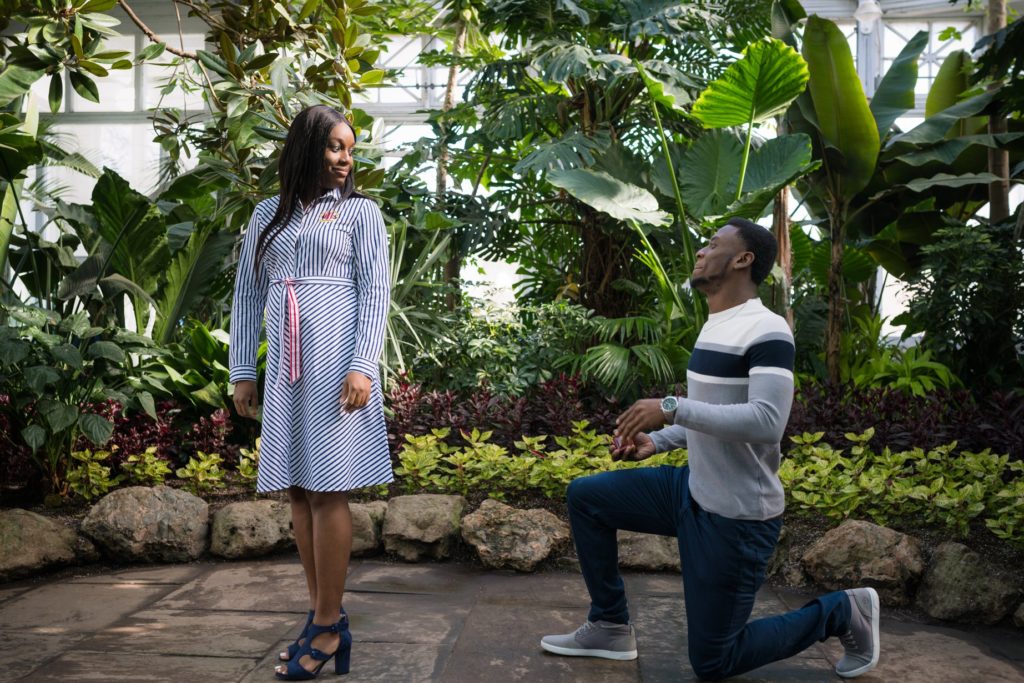 Allan Gardens Botanical Toronto Couples Surprise Engagement Proposal Photography 