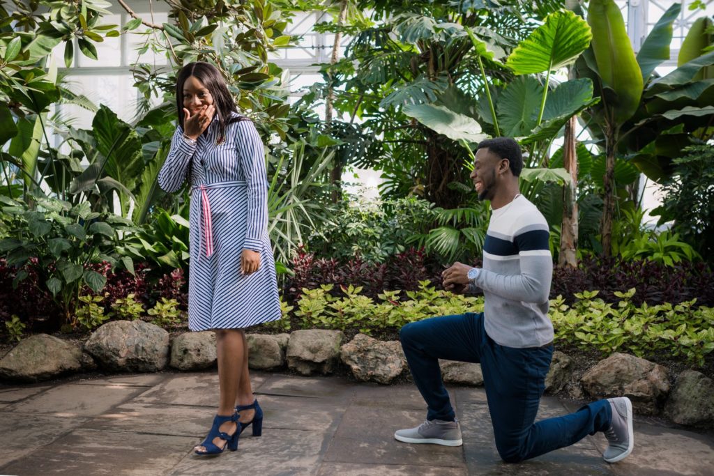 Allan Gardens Botanical Toronto Couples Surprise Engagement Proposal Photography 