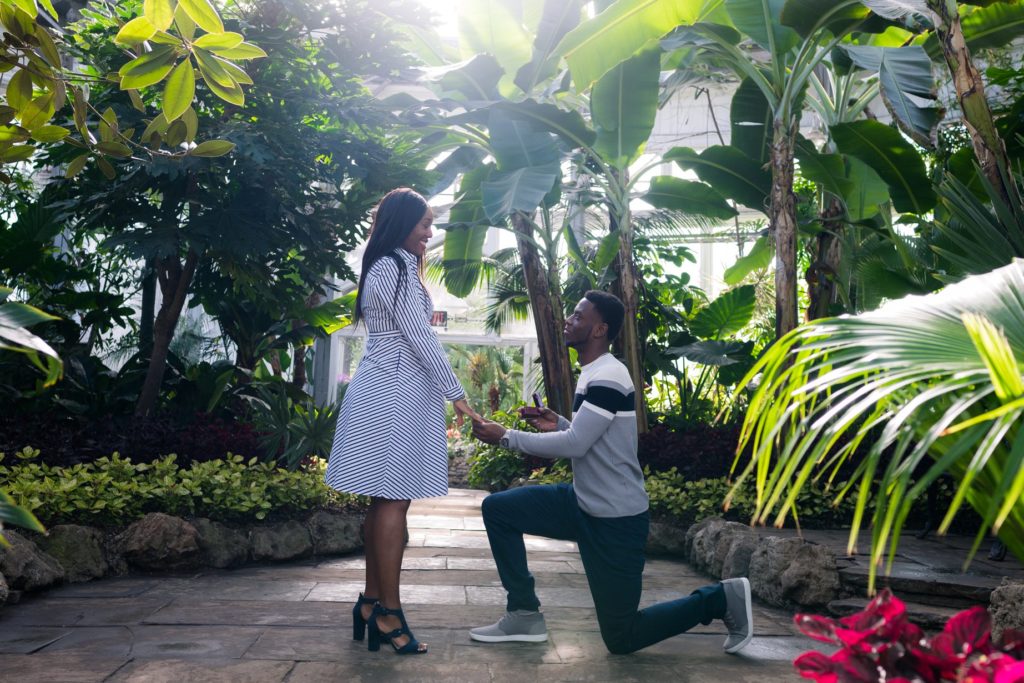 Allan Gardens Botanical Toronto Couples Surprise Engagement Proposal Photography 