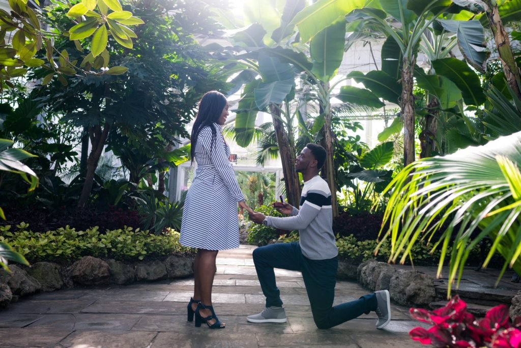 Allan Gardens Botanical Toronto Couples Surprise Engagement Proposal Photography