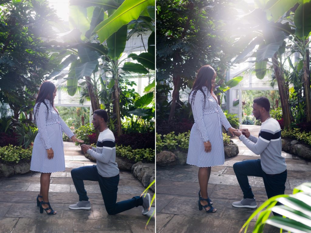 Allan Gardens Botanical Toronto Couples Surprise Engagement Proposal Photography 