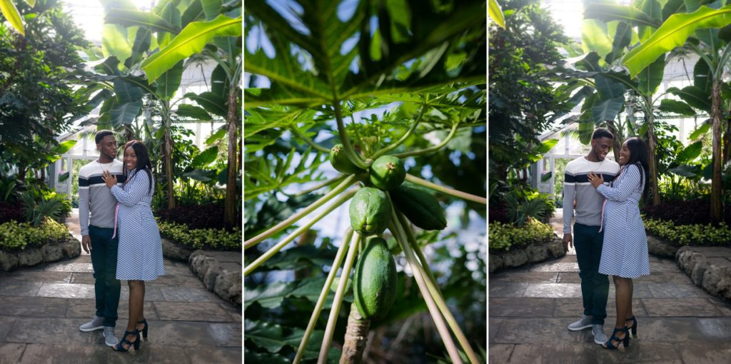 Allan Gardens Botanical Toronto Couples Surprise Engagement Proposal Photography 