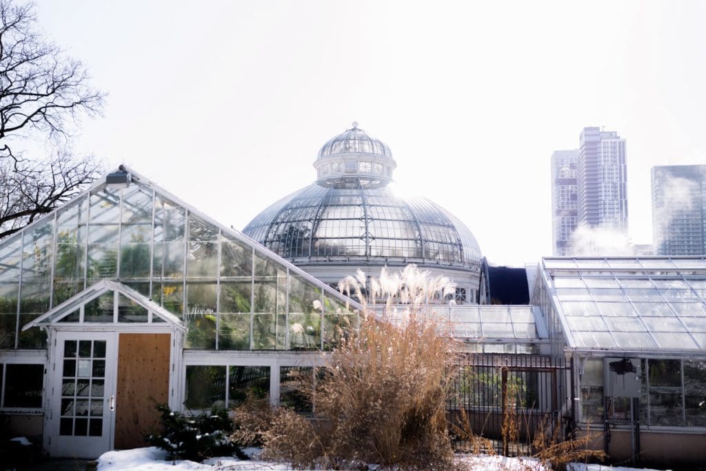 Allan Gardens Botanical Toronto Couples Surprise Engagement Proposal Photography 