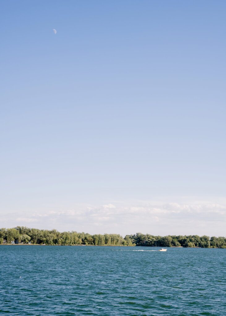 Toronto Island Surprise Engagement Proposal Picnic Photoshoot Session