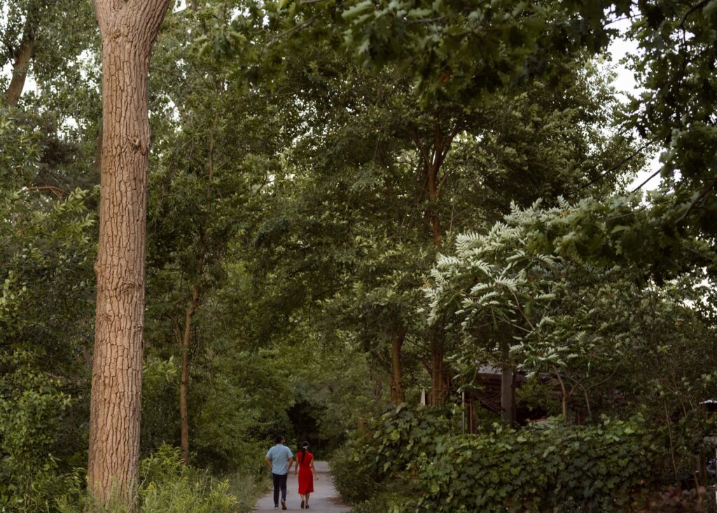 Toronto Island Surprise Engagement Proposal Picnic Photoshoot Session